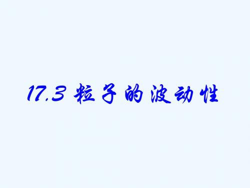 物理17.3《崭新的一页粒子的波动性》课件(新人教版选修35).ppt