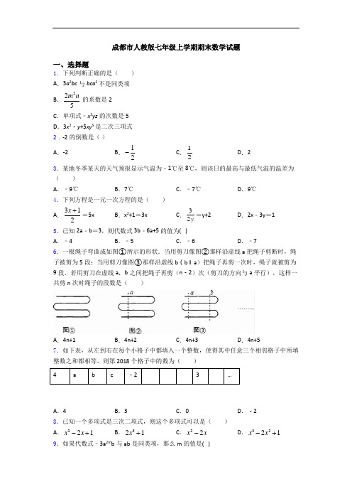 成都市人教版七年级上学期期末数学试题