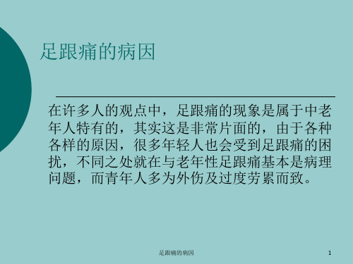 足跟痛的病因课件