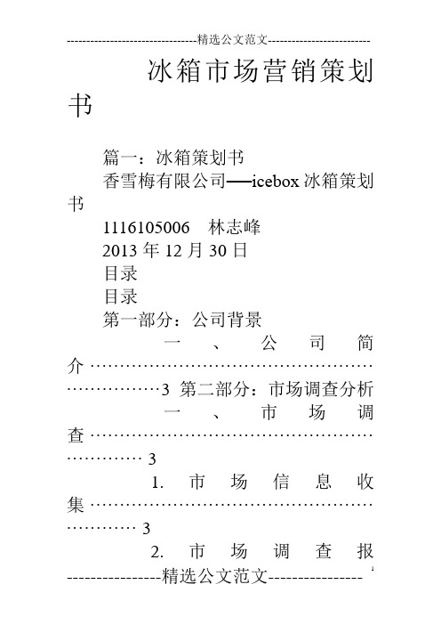 冰箱市场营销策划书