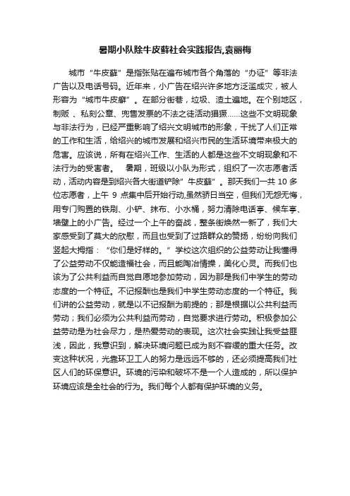 暑期小队除牛皮藓社会实践报告,袁丽梅