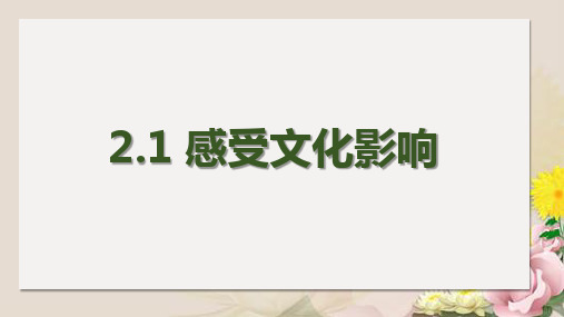 人教版必修三 文化生活2.1 感受文化影响(共17张PPT)