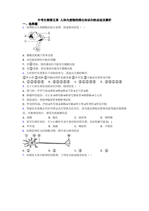 中考生物第五章 人体内废物的排出知识归纳总结及解析