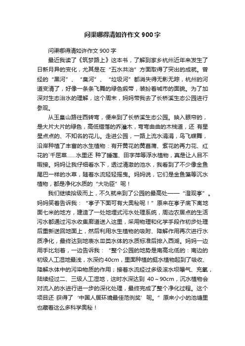 问渠哪得清如许作文900字