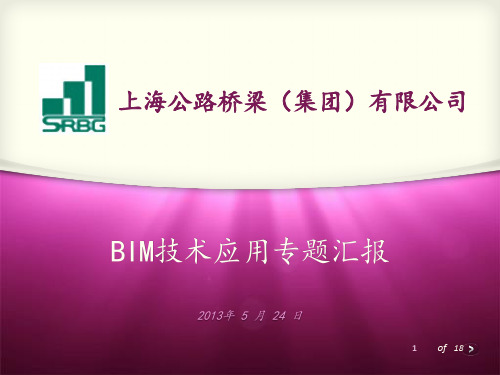 BIM技术应用专题汇报