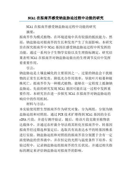 NCA1在拟南芥感受钠盐胁迫过程中功能的研究