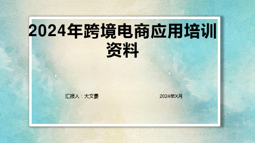 2024年跨境电商应用培训资料