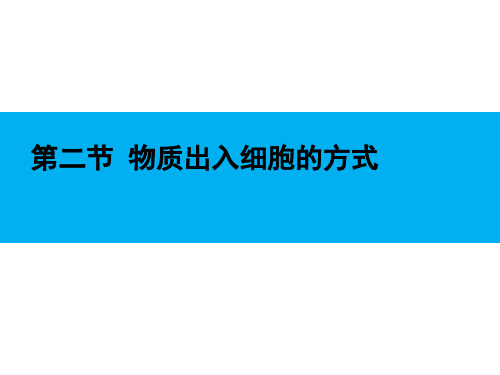 浙科版高中生物必修一3.2物质出入细胞的方式 课件(共13张PPT)