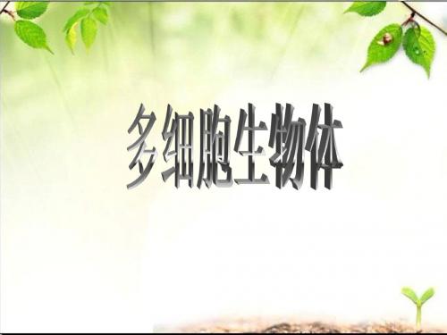 1.植物体的结构层次