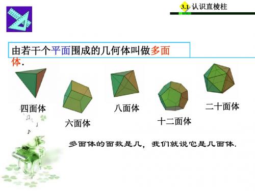 认识直棱柱 PPT课件 人教版