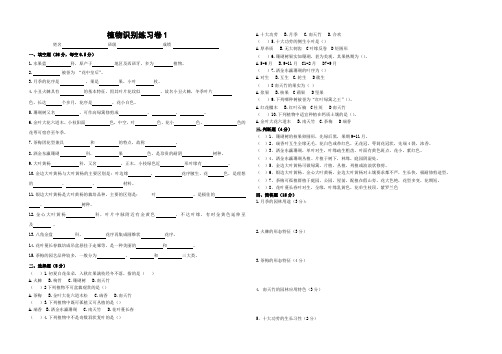 植物识别练习卷1