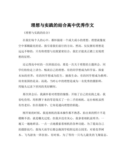 理想与实践的结合高中优秀作文