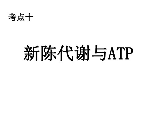 高一生物新陈代谢与atp