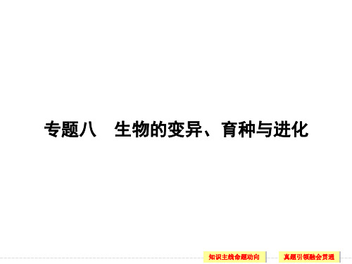 高考生物(江西专用)二轮专题复习配套课件第一篇专题八生物的变异、育种与进化