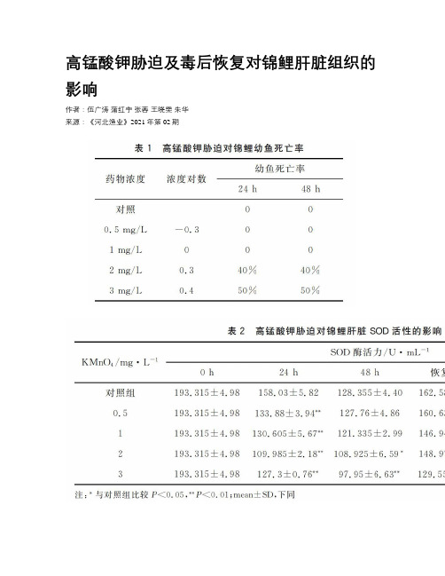 高锰酸钾胁迫及毒后恢复对锦鲤肝脏组织的影响