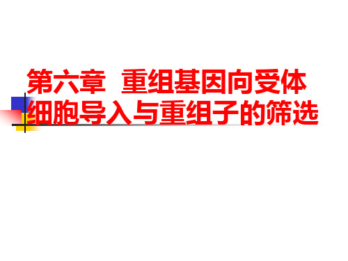 重组基因向受体细胞导入与重组子的筛选