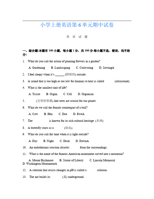 小学上册第12次英语第6单元期中试卷