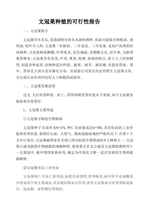 文冠果种植的可行性报告