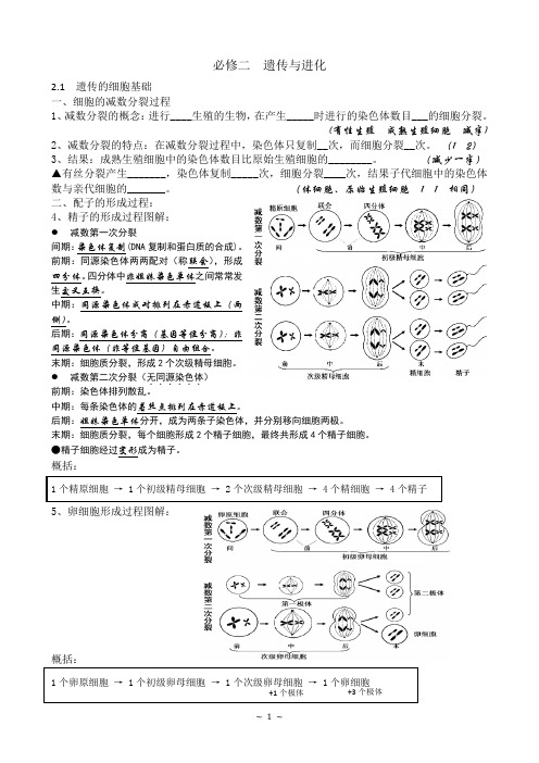 生物必修二知识填空(含答案)