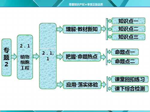 人教版选修3课件 第1部分 专题2 2.1 2.1.1 植物细胞工程的基本技术