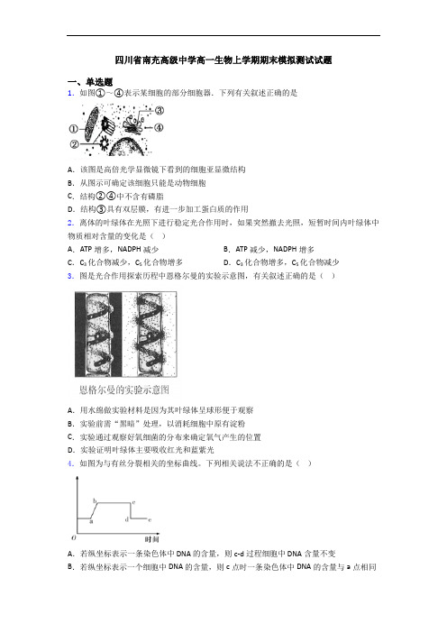 四川省南充高级中学高一生物上学期期末模拟测试试题