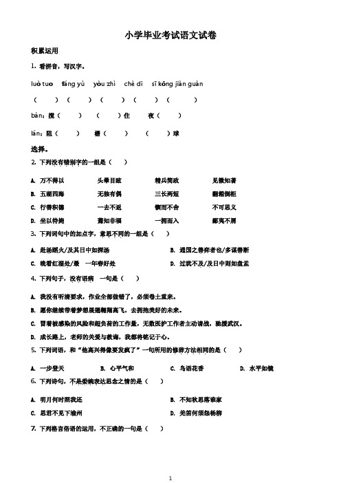 小学毕业考试语文试卷 有解析