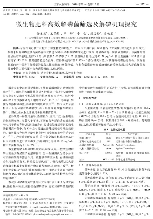 微生物肥料高效解磷菌筛选及解磷机理探究