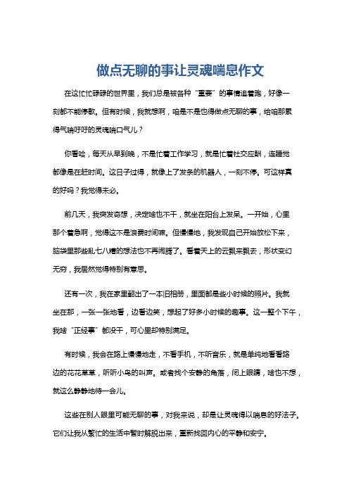 做点无聊的事让灵魂喘息作文