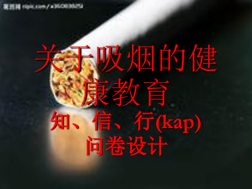 kap问卷