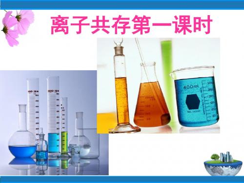 中考化学复习课件_离子共存第一课时 (共19张PPT)