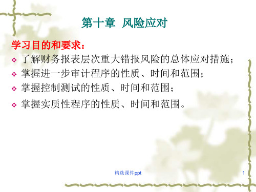 第十章风险应对ppt课件