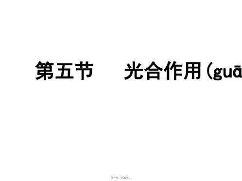 最新浙江省高中生物《光合作用的过程》课件浙教版必修1.ppt精品课件