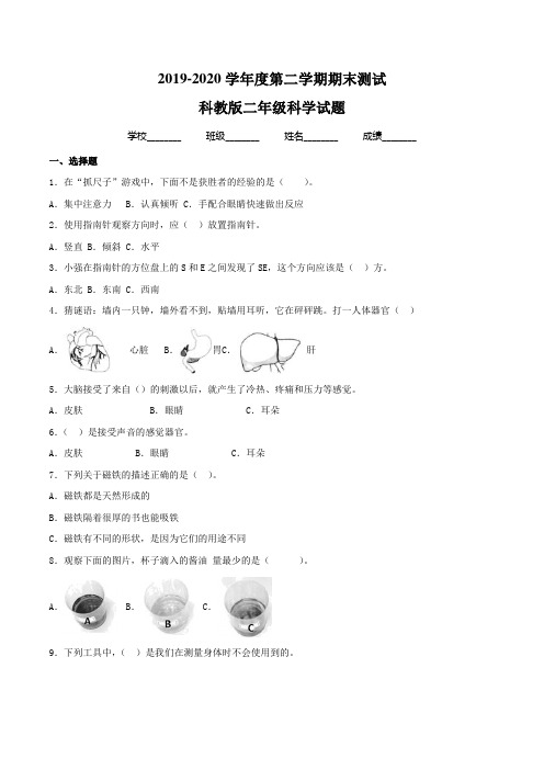 2020科教版二年级下册科学《期末考试卷》含答案