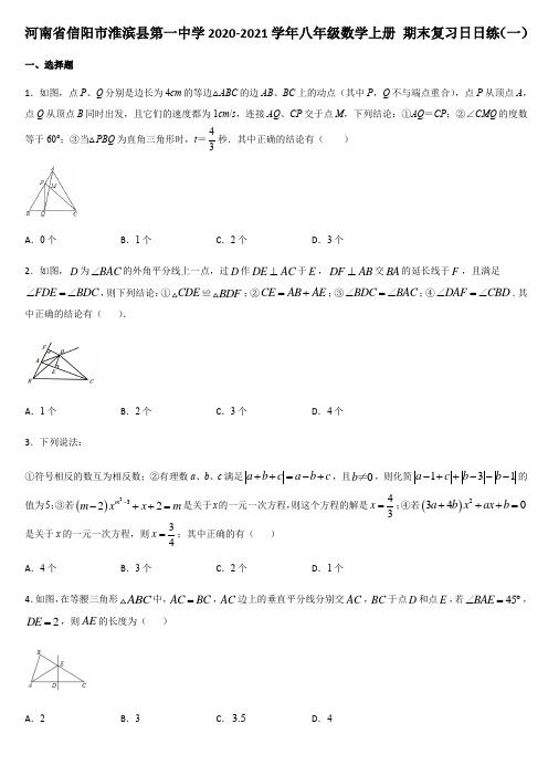 河南省信阳市淮滨县第一中学2020-2021学年八年级数学上册 期末复习日日练(一)