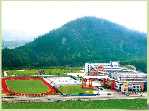 广东省中山市九年级物理上册 第十三章 力和机械 杠杆课件 新人教版