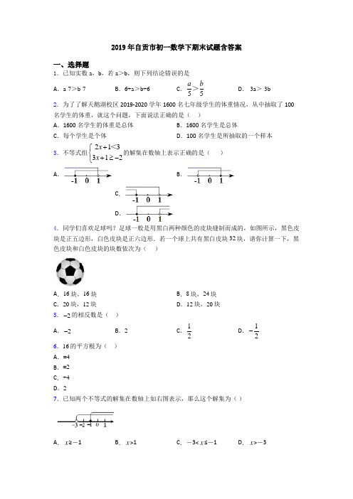 2019年自贡市初一数学下期末试题含答案