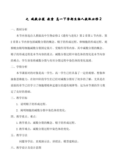 减数分裂和受精作用教案高一下学期生物人教版必修2