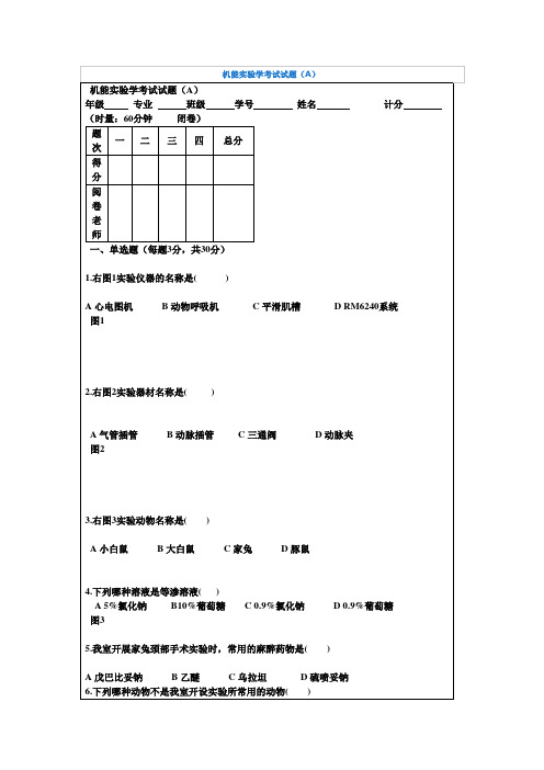 机能实验学考试试题