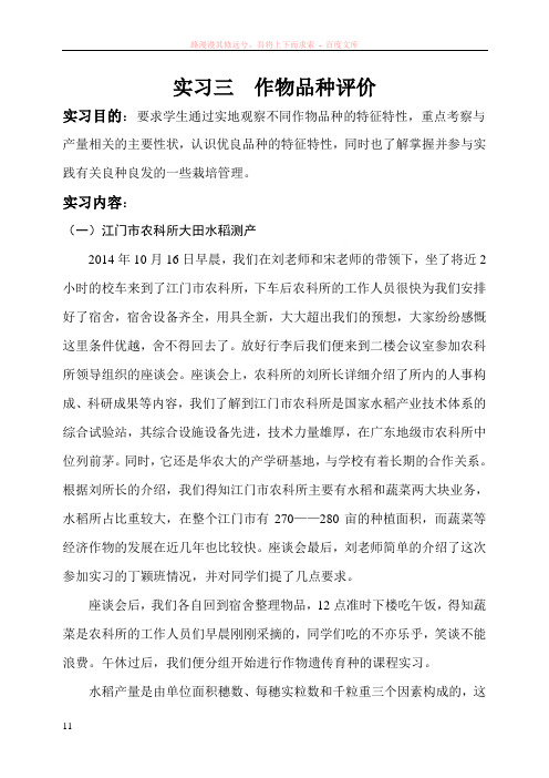 水稻品种评价——遗传学实习报告三