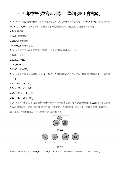 2020年中考化学专项训练 盐和化肥(包含答案)