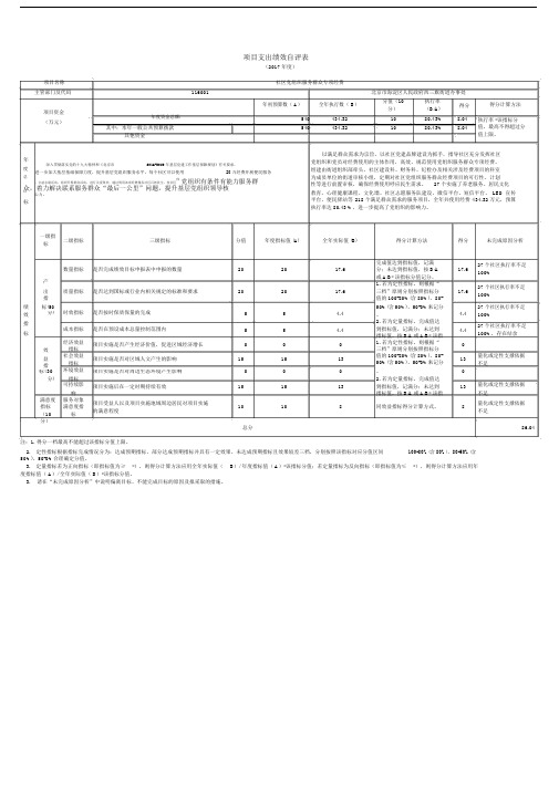 项目支出绩效自评表 (2).doc