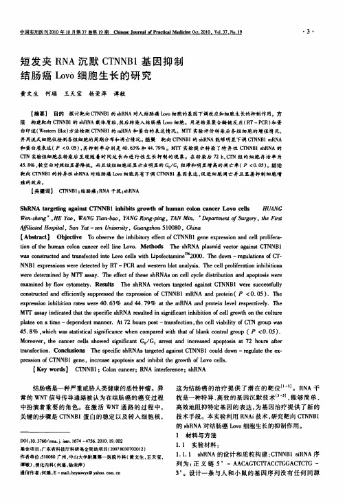 短发夹RNA沉默CTNNB1基因抑制结肠癌Lovo细胞生长的研究