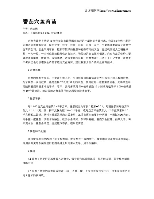番茄穴盘育苗