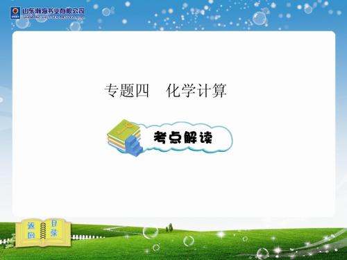 中考化学专题四  化学计算