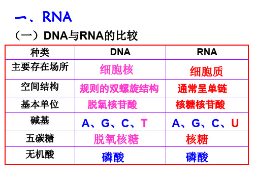 复制、转录、翻译的比较