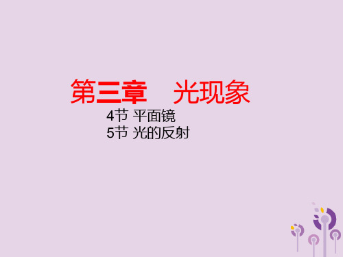 20201年中考一轮复习苏科版复习课件  第三章 光现象(2)