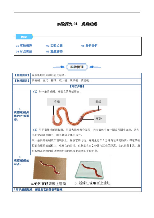 【八年级上册生物实验】实验探究01  观察蚯蚓(原卷版) 