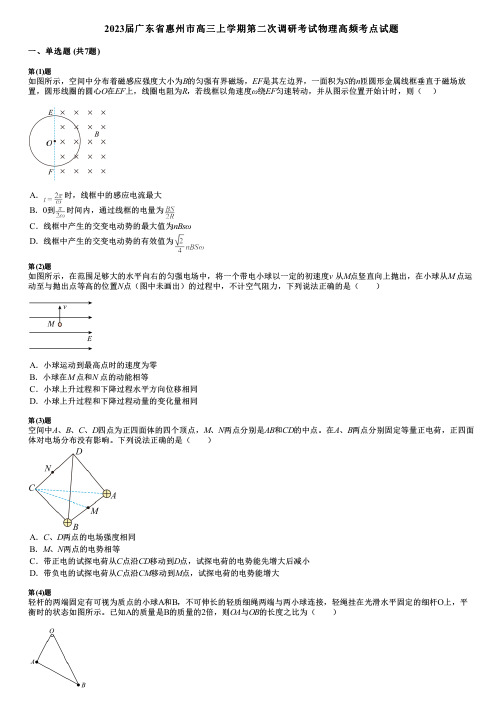 2023届广东省惠州市高三上学期第二次调研考试物理高频考点试题