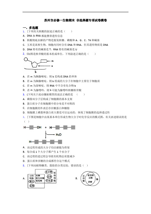 苏州市必修一生物期末 非选择题专项试卷模卷