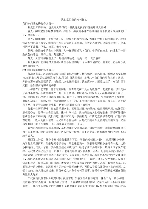 我们家门前的柳树作文